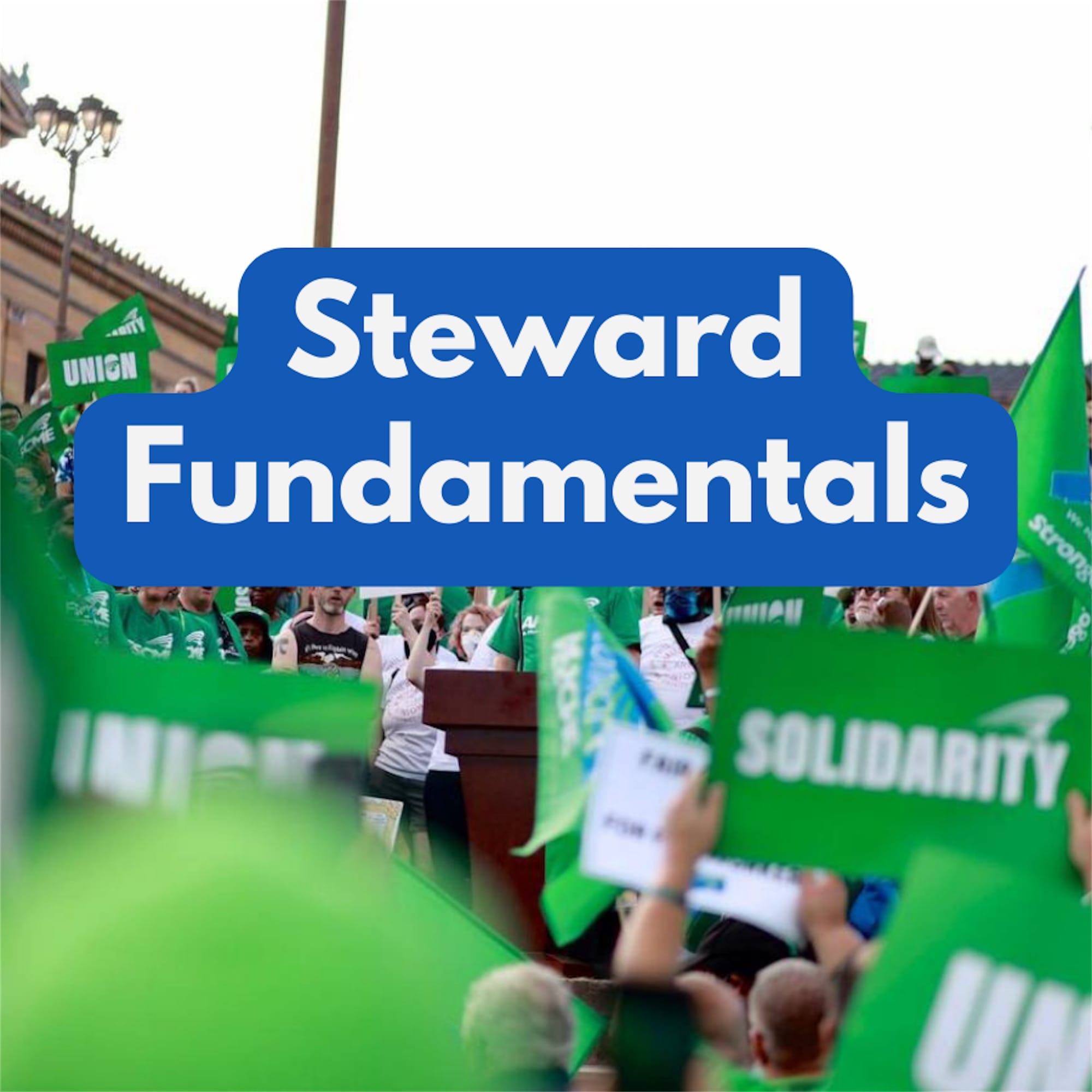 Thumbnail for Steward Fundamentals