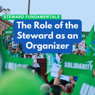 The Role  of the Steward  as an Organizer